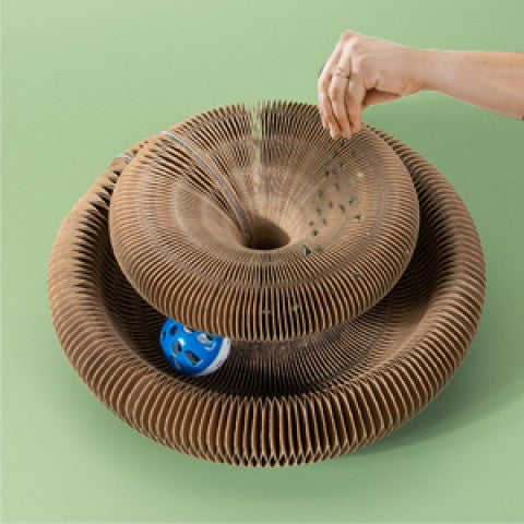 Foldable Cat Scratch Board Organ Shape – Multi-Position Cardboard Scratcher with Magnetic Closure, Catnip Compatible, Durable Interactive Cat Toy