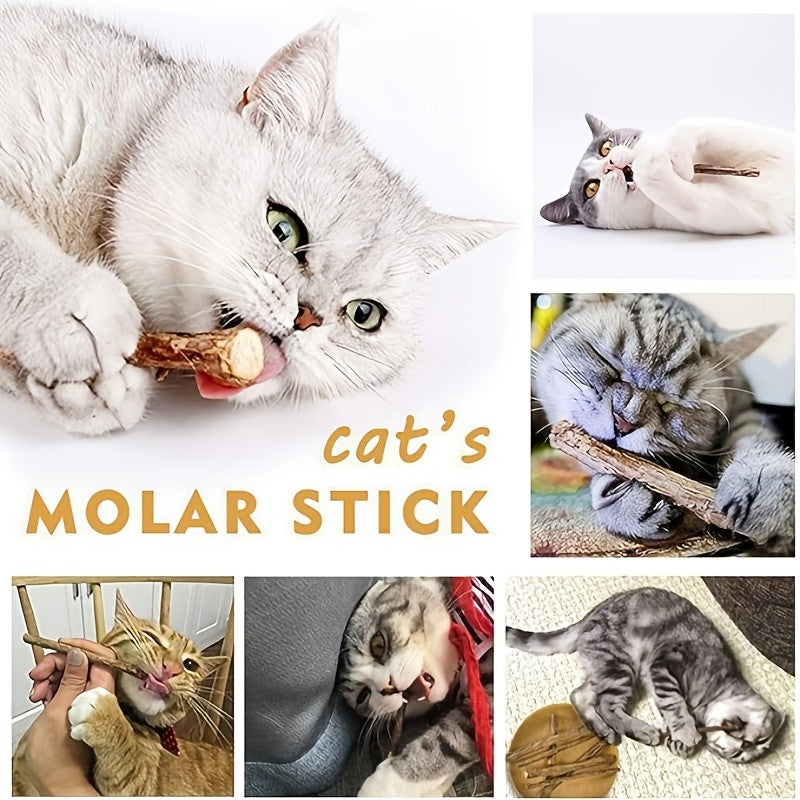 Cat Chew Sticks 25pcs – Interactive Dental Teething Toys for Cats, Teeth Cleaning & Grinding Sticks, 5pcs Per Bag, Promotes Oral Health Through Play
