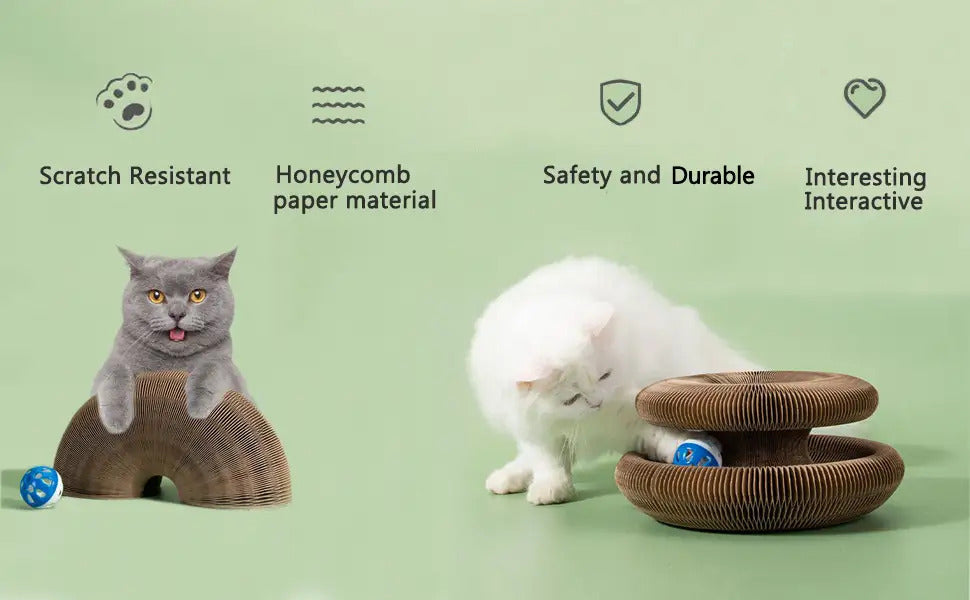 Foldable Cat Scratch Board Organ Shape – Multi-Position Cardboard Scratcher with Magnetic Closure, Catnip Compatible, Durable Interactive Cat Toy