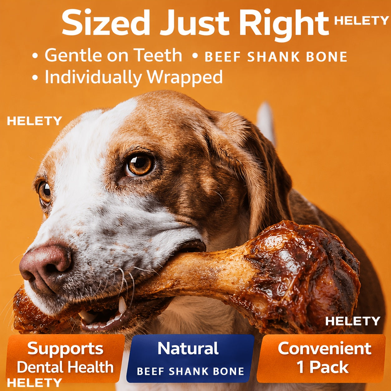 Beef Hip Bone Dog Chews – Long-Lasting Large Beef Bone Treats for Medium & Large Dogs, Aggressive Chewer Bones, Indoor Outdoor Daily Reward, Multi-Pack Options