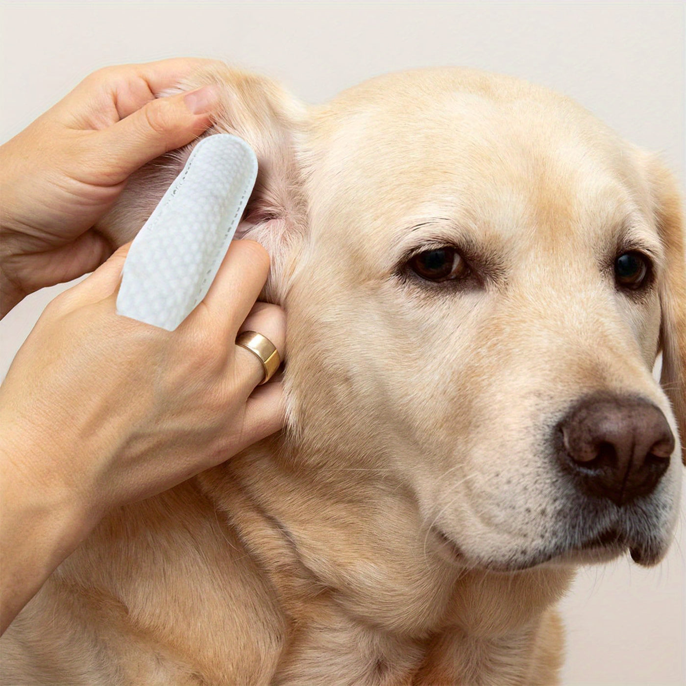 Pet Grooming Wipes for Dogs & Cats - Dental Wipes, Ear Wipes, Eye Wipes & Teeth Cleaning Kit, Coconut Scent, Soothing & Deodorizing for All Breed Sizes