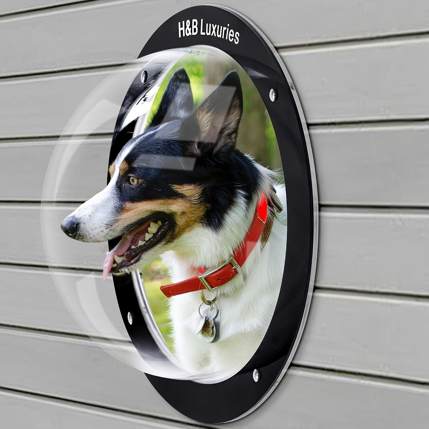 Acrylic Dome Dog Fence Window – Clear Pet View Window for Yard Fence, Lets Dogs See Outside, Durable Plastic Dog Window for Wood & Chain Link Fences, Indoor & Outdoor
