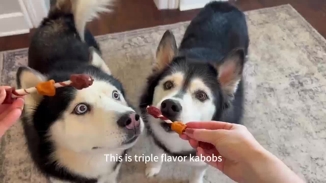 Rawhide-Free Kabob Dog Chews – Real Chicken, Beef, Duck & Liver Grilled Meat Treats, Long-Lasting High Protein Dog Chews for All Breeds, Beef Sausage / 3-in-1 / Double Duck