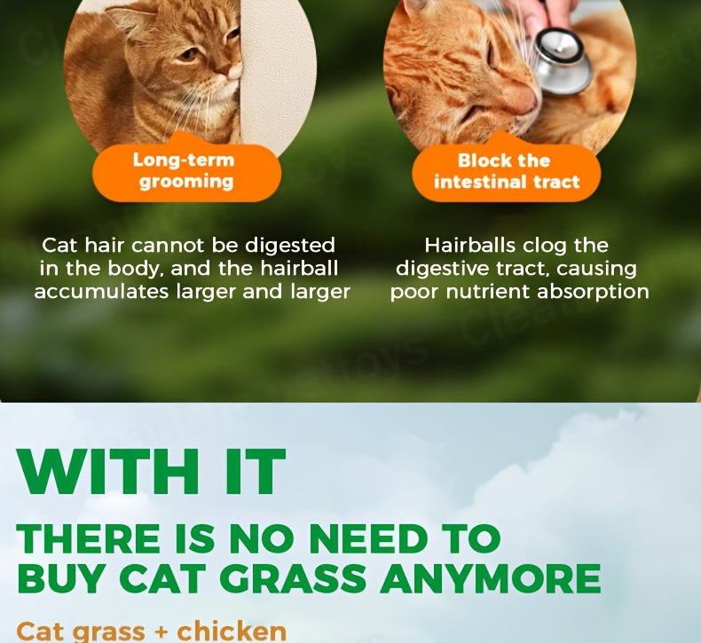 Cat Grass Freeze-Dried Granules & Hairball Tablets for Cats – Mint Molar Sticks, Chicken-Flavored Dental Snacks for Hairball Control & Teeth Cleaning, 150g / 155g