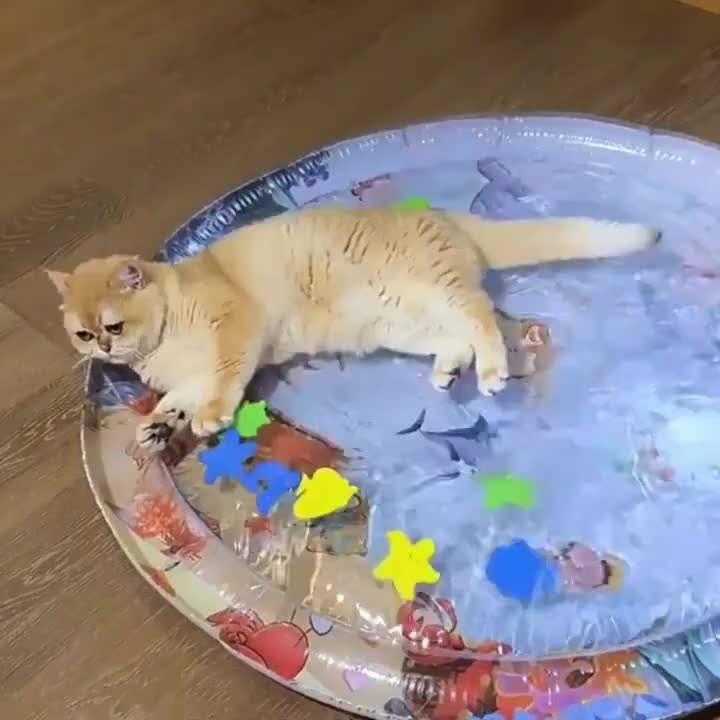 Interactive Water Play Cat Mat with Floating Fish – Splash-Proof PVC Indoor Cat Toy, Cartoon Pattern, No Battery Needed, Easy Tap Water Clean