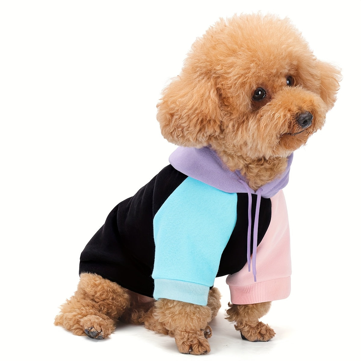 Dog Hoodie Cyber Punk Style Color-Block – Buttery Soft Knitted Polyester, Black Purple Peach, Adjustable Drawstring Hood, Ribbed Cuffs, Comfort Fit for All Breeds, Winter Spring Autumn