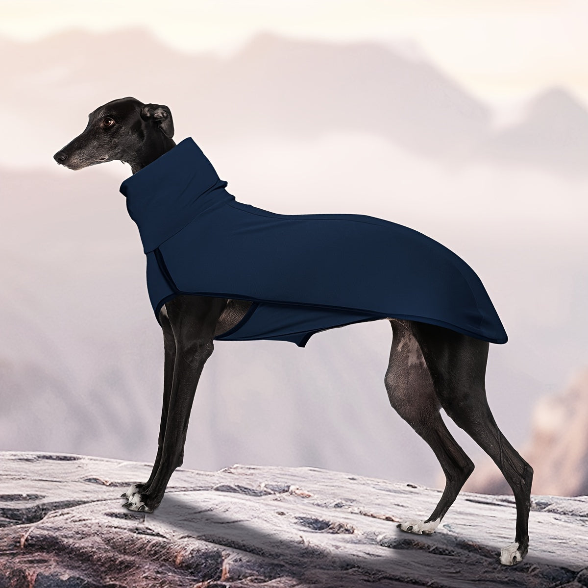 High Neck Dog Coat – Warm Solid Color Woven Polyester Pullover for Small Medium Large Dogs, Machine Washable All-Season Fall Winter Pet Clothing, XL to 4XL