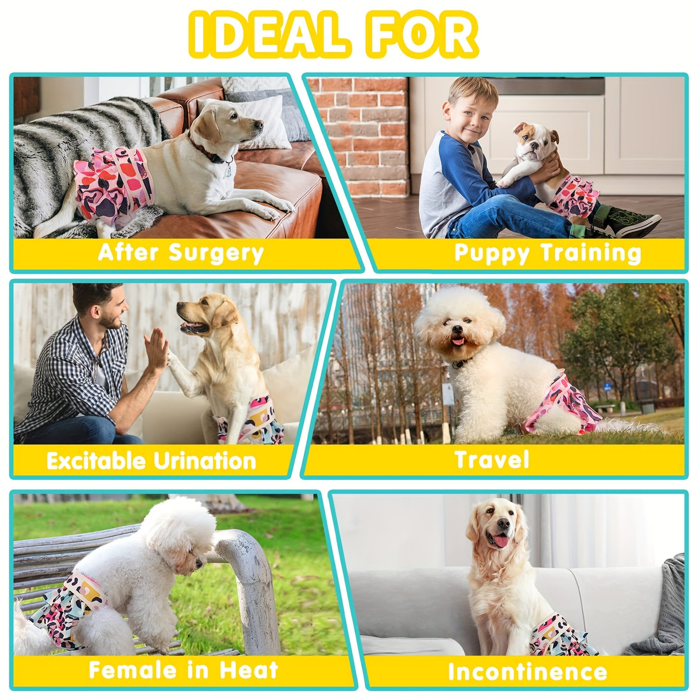 Washable Female Dog Diapers 3-Pack - Reusable Highly Absorbent Dog Period Panties, Flexible Fit, XS to L, for Heat Cycles, Incontinence & Puppy Training, 3 Patterns