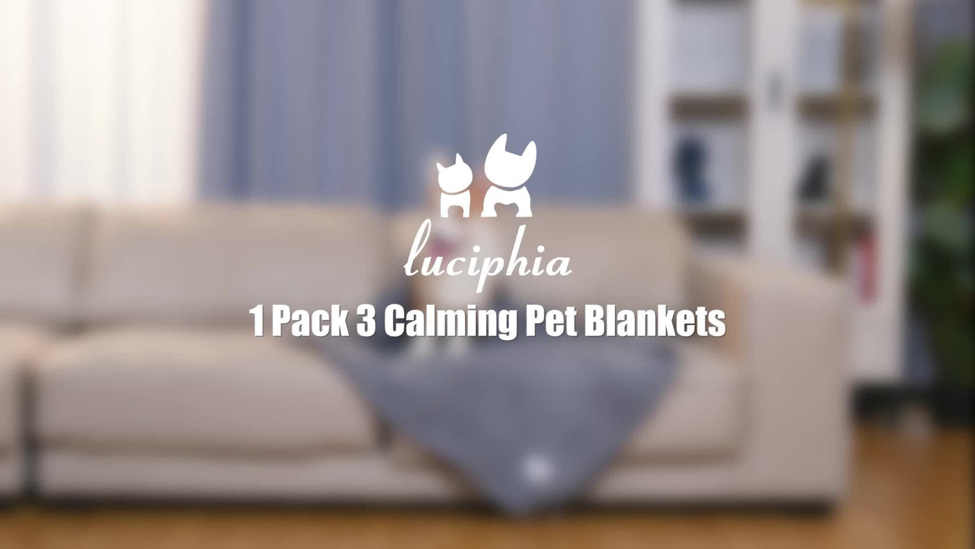 Fleece Pet Blanket 3 Pack with Free Drying Towel - Super Soft Flannel Throw for Dogs Puppies & Cats, Tear-Resistant Paw & Dot Print, Machine Washable, 20x16 & 23x16 Inch