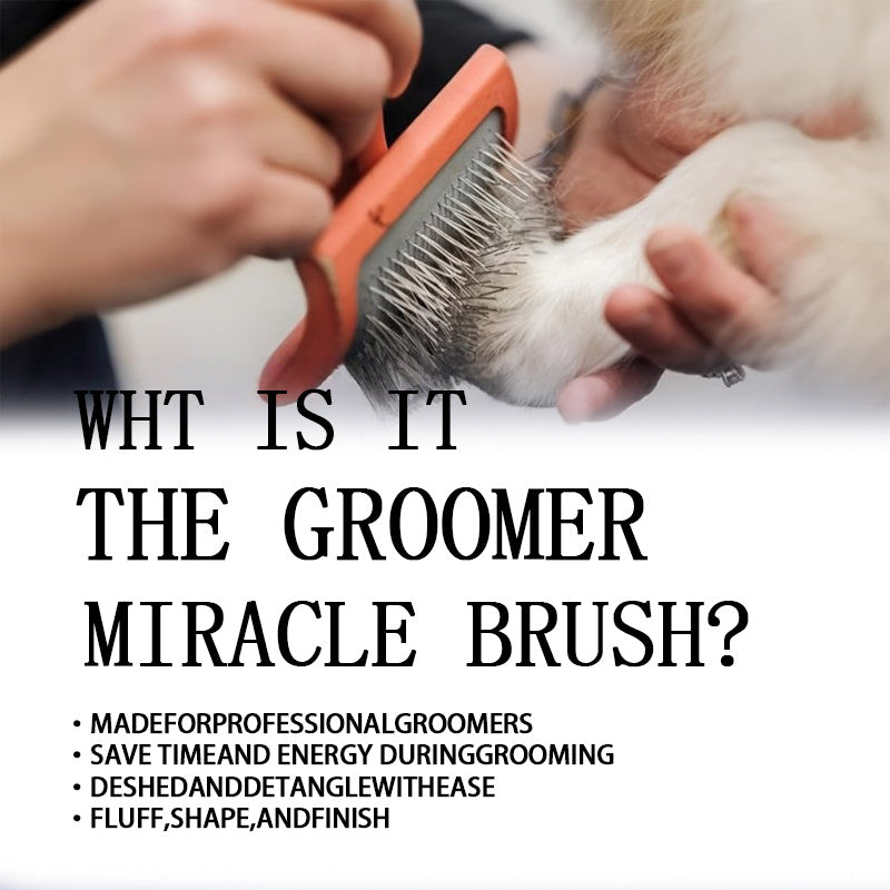 Dog Slicker Brush Professional Grooming Brush with Extra-Long Pins – Deshedding Detangling Dematting for Large Dogs, Goldendoodles Labradoodles Poodles, Buy 1 Get 1