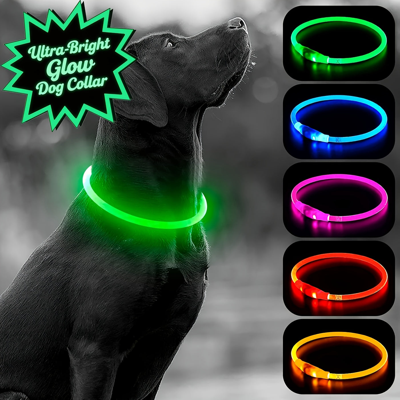 LED Dog Collar USB Rechargeable Light Up Safety Collar with 3 Modes 360° Glow - Adjustable TPU Night Walking Collar for Small Medium Large Dogs, Multi-Color Options
