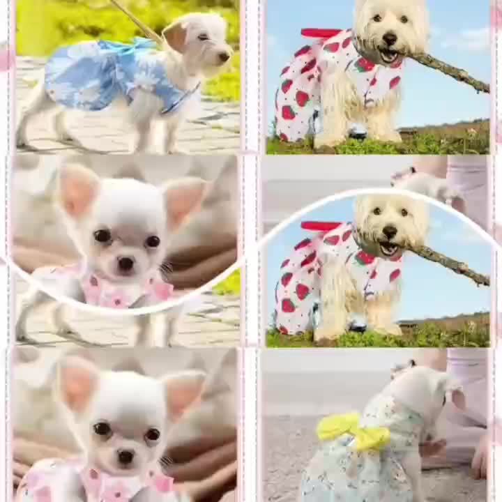 Girl Dog Dress Set of 5 Cute Styles – Floral Princess Bow Puppy Dresses for Small Dogs & Cats, Soft Polyester Press Buckle Pet Costume for Yorkshire Mini Toy Breeds, All Seasons