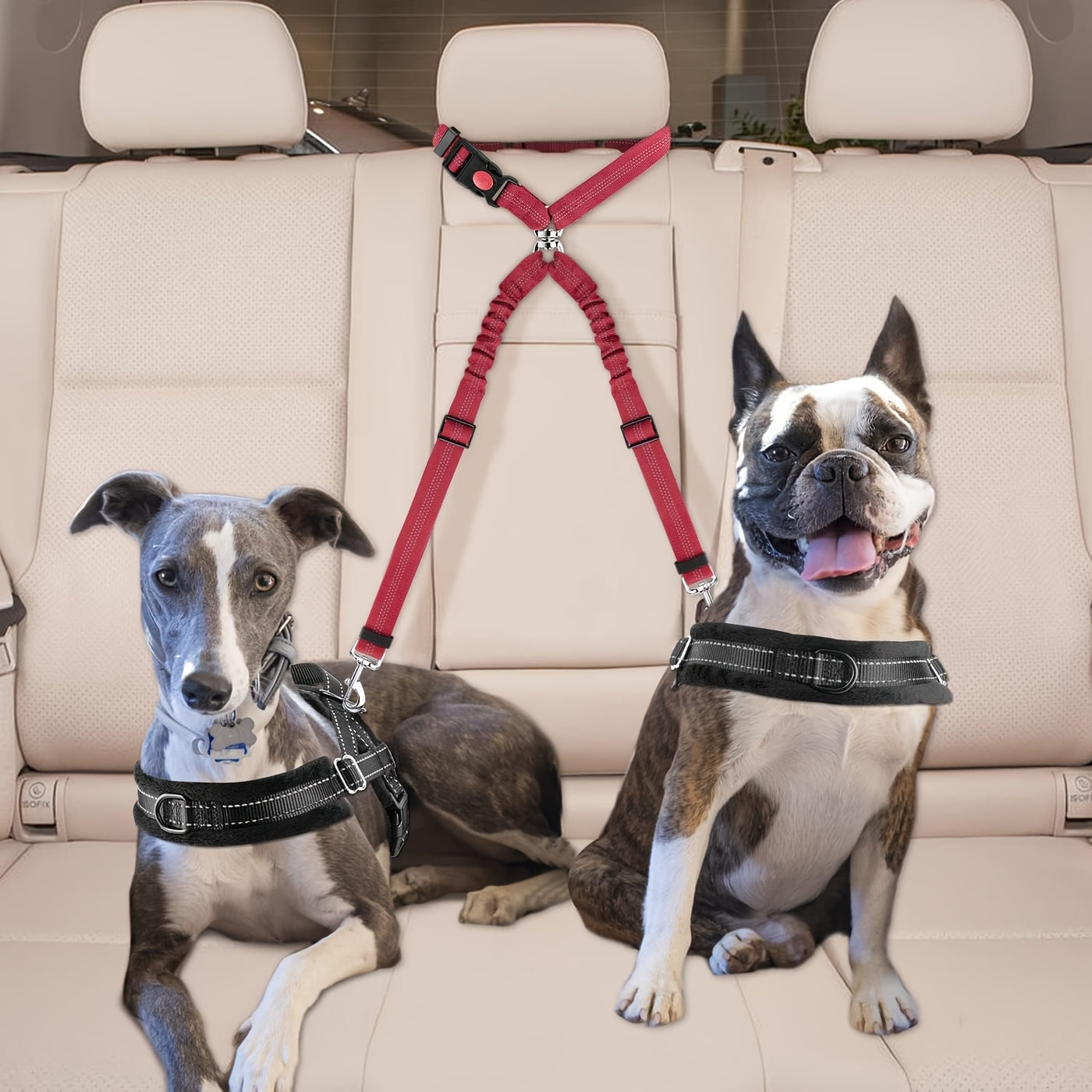 Dual Dog Car Seat Belt for 2 Dogs – No-Tangle Headrest Restraint with Adjustable Bungee, Safe Pet Car Safety Harness for Small Medium Large Dogs, Black Pink Red