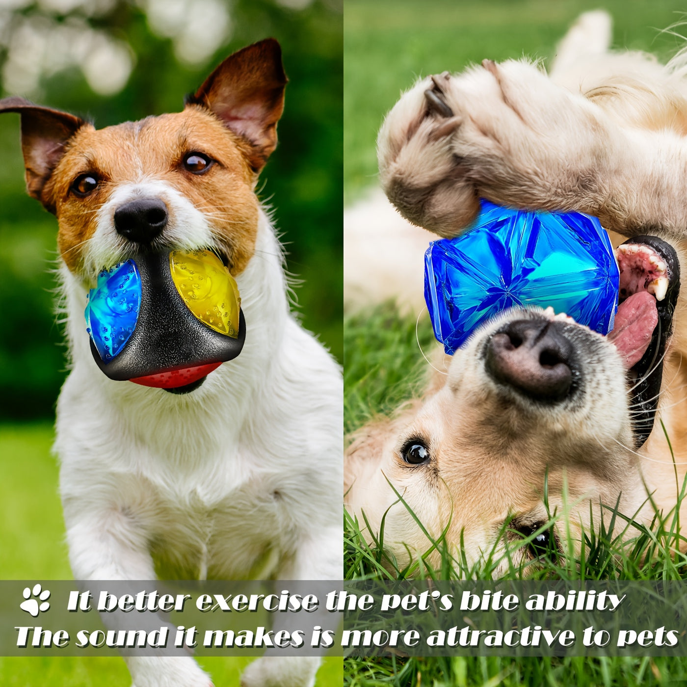 LED Light Up Dog Ball 4-Pack – Spiny Flashing Glow in the Dark Bounce-Activated Squeaky Toy Ball for Dogs and Puppies