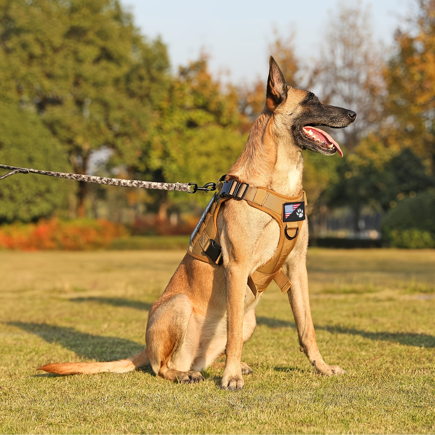 Tactical Dog Harness Chest Vest with MOLLE Panels, Handle & Leash Clip – Heavy Duty Adjustable Military-Style Pet Harness for Medium Large Dogs Walking Training Outdoor Adventures