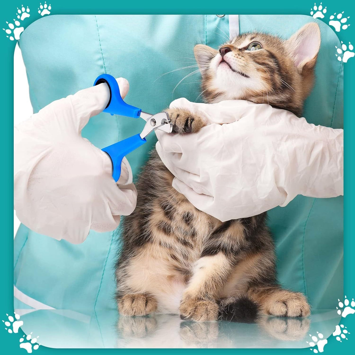 Cat Grooming Kit 5-Piece Set – Bathing Bag, Anti-Bite Muzzle, Nail Clippers, Tick Remover & Massage Brush, Complete Home Grooming Supplies for Safe Gentle Cat Care