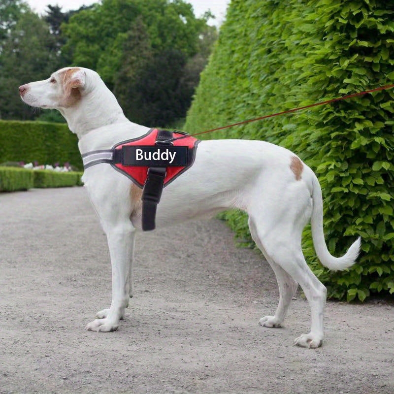 Personalized No-Pull Dog Harness with Custom Name & Phone Number - Heavy Duty Dog Vest, Anti-Choke Training Walking Harness for Small Medium Large Dogs, XS to XXL, 12 Colors