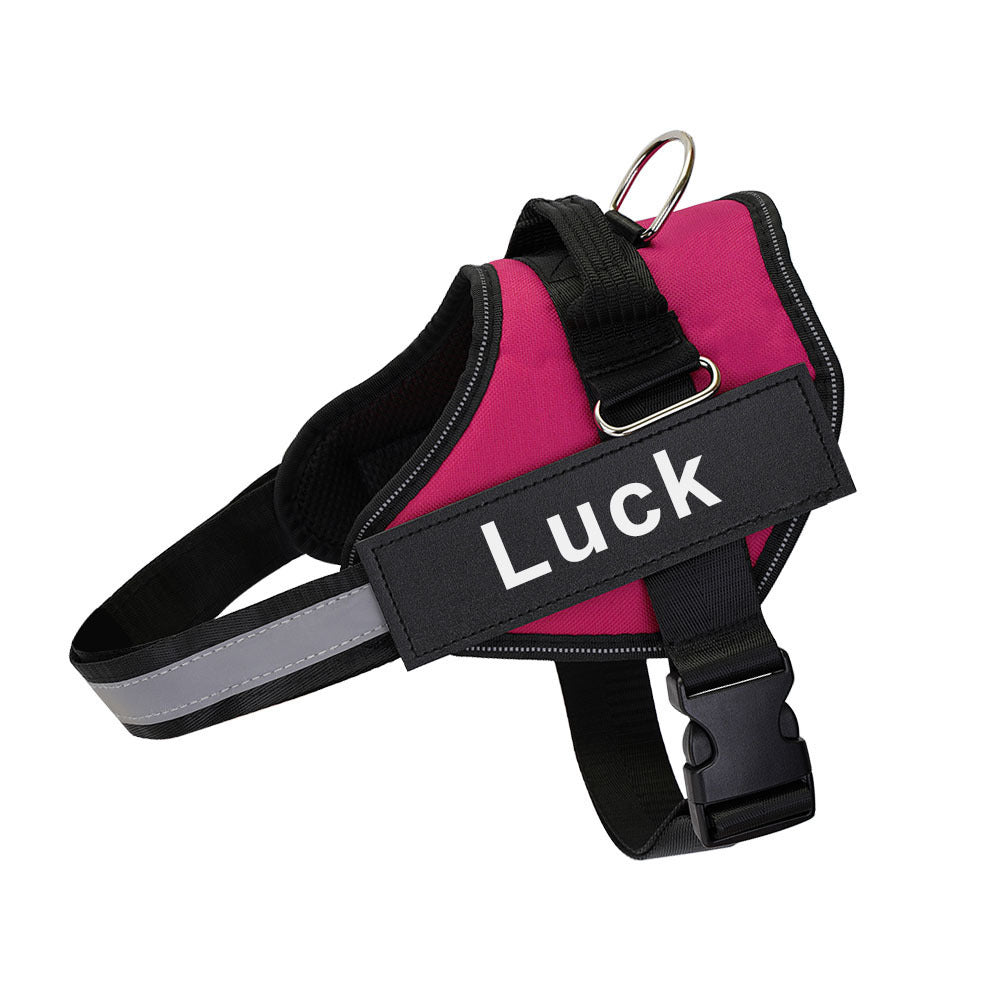 Personalized No-Pull Dog Harness with Custom Name & Phone Number - Heavy Duty Dog Vest, Anti-Choke Training Walking Harness for Small Medium Large Dogs, XS to XXL, 12 Colors