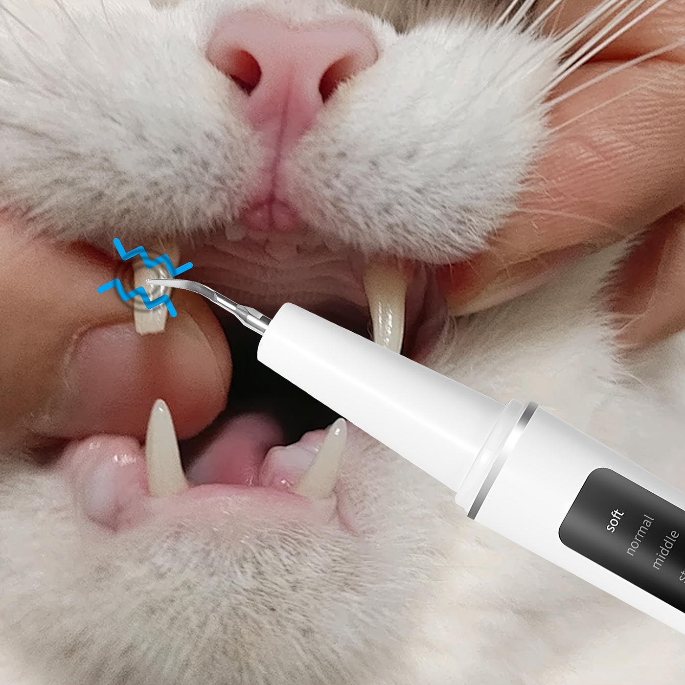 Electric Pet Teeth Cleaning Kit for Cats and Dogs USB Rechargeable – 5 Modes 4 Cleaning Heads Stain Tartar Remover