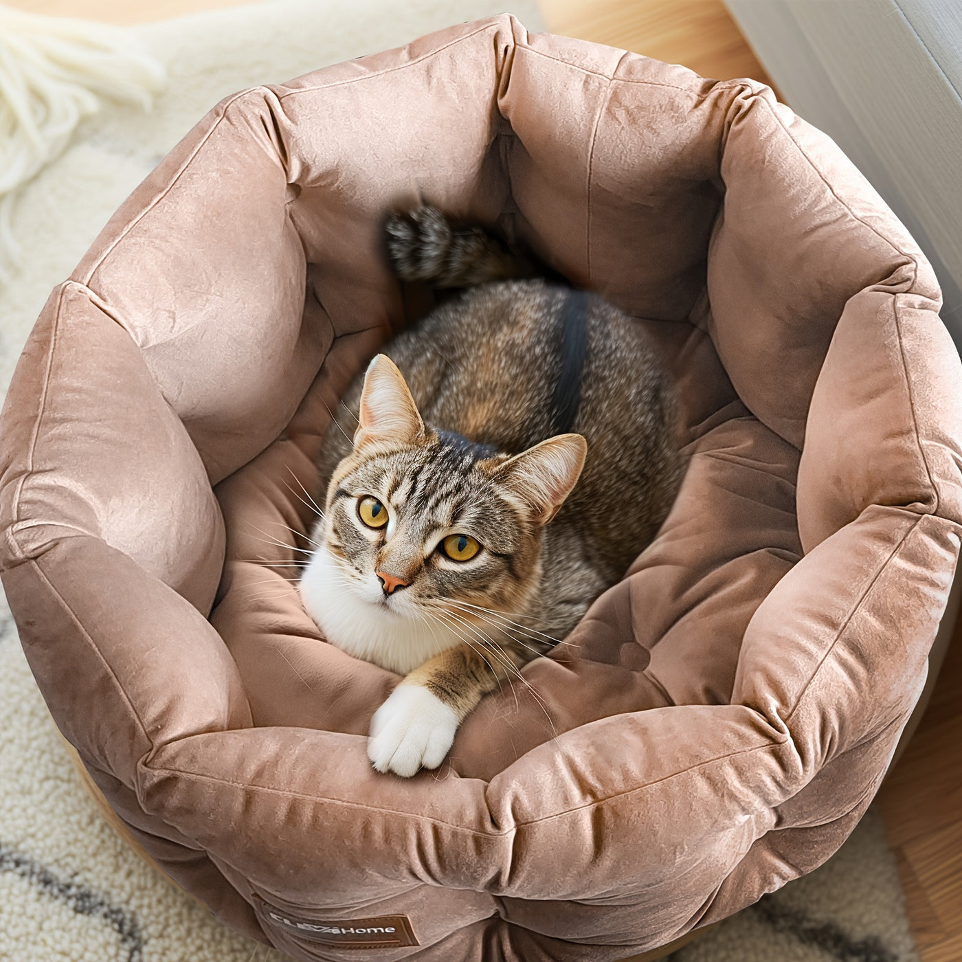 Deep Nest Round Cat Bed for Indoor Cats - Velvet Plush, Extra High Sides, Non-Slip Bottom, Machine Washable, 20x20x8in Cat Bed for Small Pets up to 15lbs, Steel Blue & Warm Beige