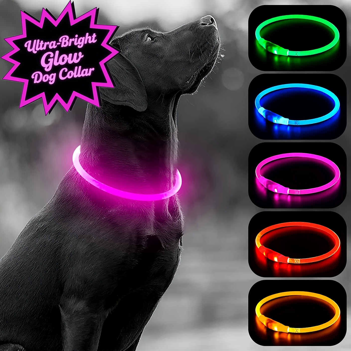 LED Dog Collar USB Rechargeable Light Up Safety Collar with 3 Modes 360° Glow - Adjustable TPU Night Walking Collar for Small Medium Large Dogs, Multi-Color Options