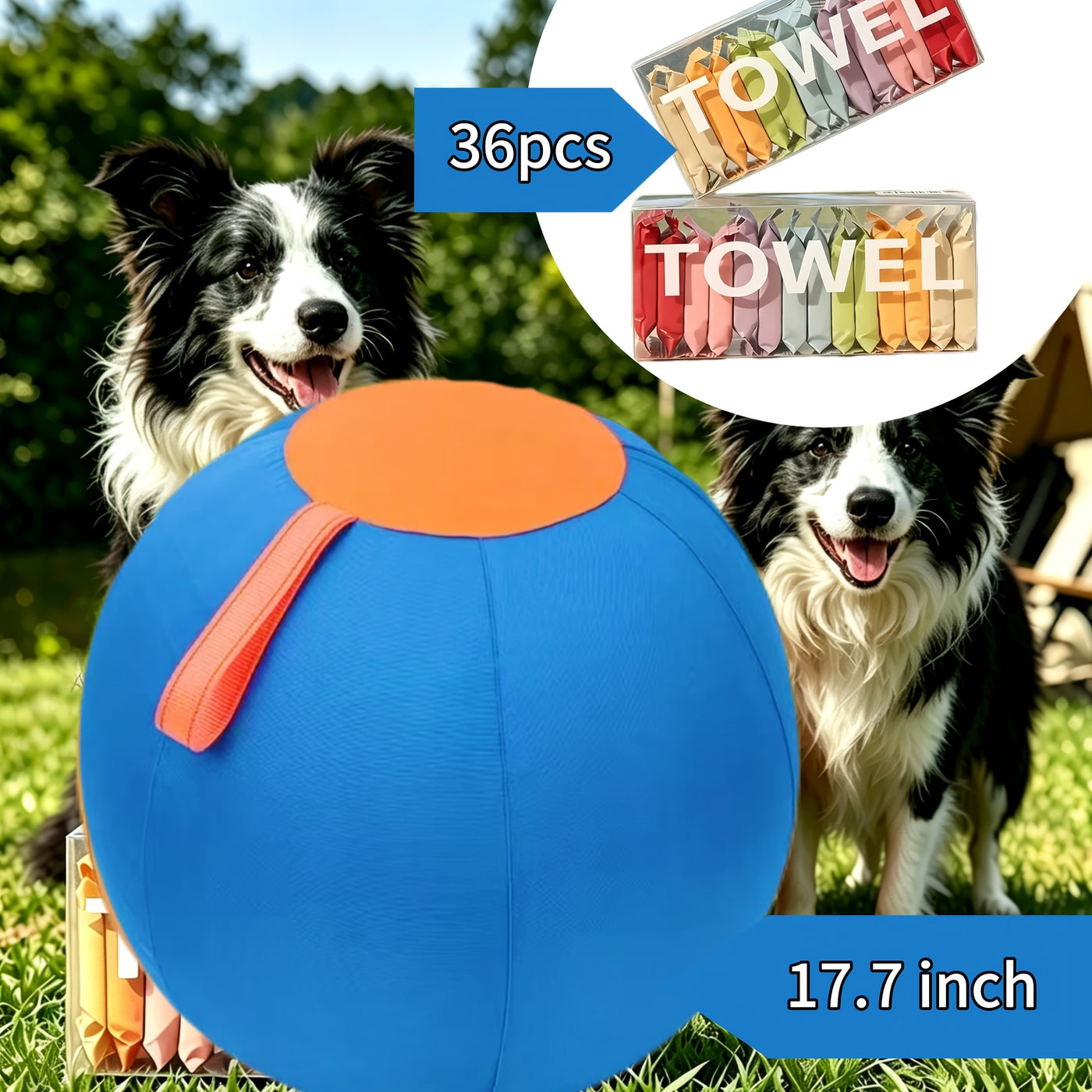 Dog Ball Toy for Small & Medium Dogs – Chew-Resistant Fetch & Training Ball, Independent Play, Shiba Inu Corgi Bulldog Golden Retriever, Blue or Orange