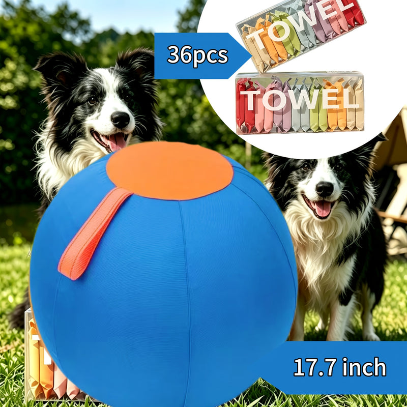 Dog Ball Toy for Small & Medium Dogs – Chew-Resistant Fetch & Training Ball, Independent Play, Shiba Inu Corgi Bulldog Golden Retriever, Blue or Orange