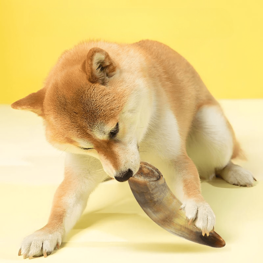 Ox Horn Dog Chews Natural Long Lasting High-Protein Low-Fat Easily Digestible Dog Treat for Small Medium Large Dogs Training Reward 130-150g