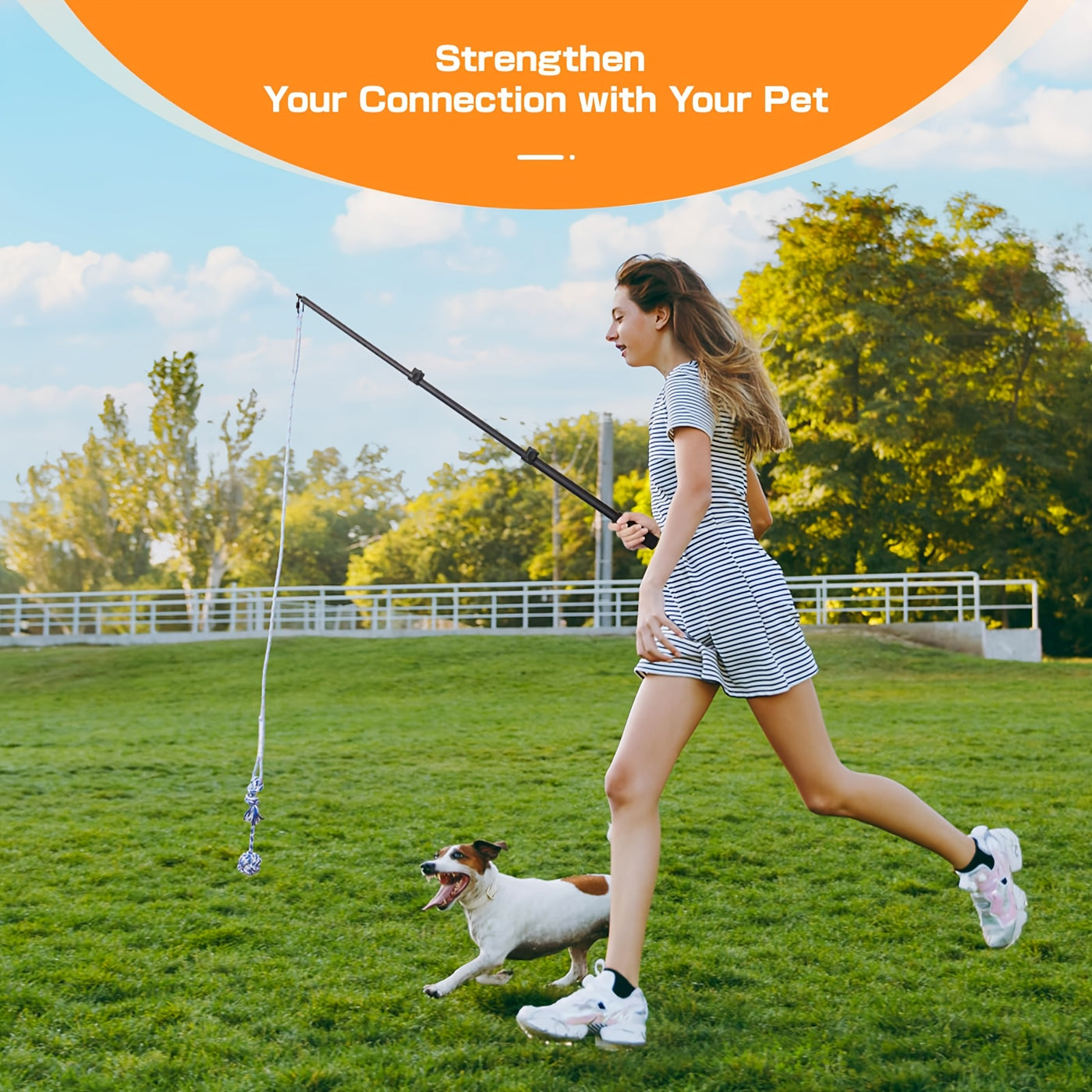 Dog Flirt Pole Telescopic Training Stick with Detachable Lure - Interactive Exercise Toy for Small Medium Large Dogs Agility Training
