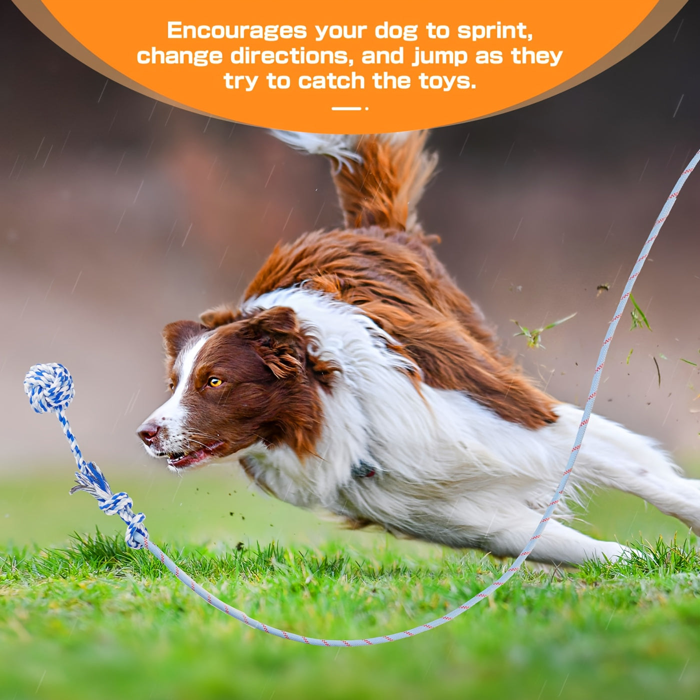 Dog Flirt Pole Telescopic Training Stick with Detachable Lure - Interactive Exercise Toy for Small Medium Large Dogs Agility Training