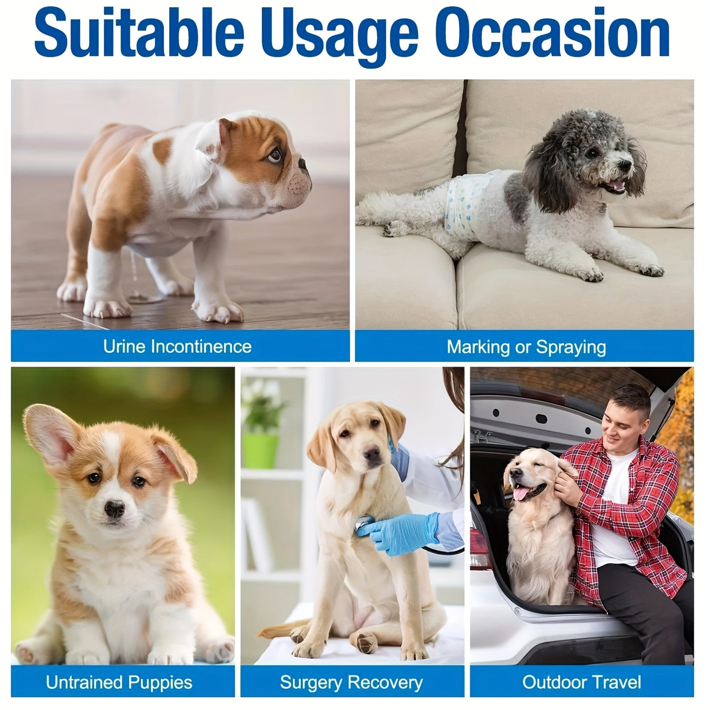 Dog Disposable Diapers 12-Pack – Ultra-Absorbent Leakproof Pet Diapers for Male & Female Dogs, Elastic Waistband, Adjustable Fit for Puppy Training & Incontinence