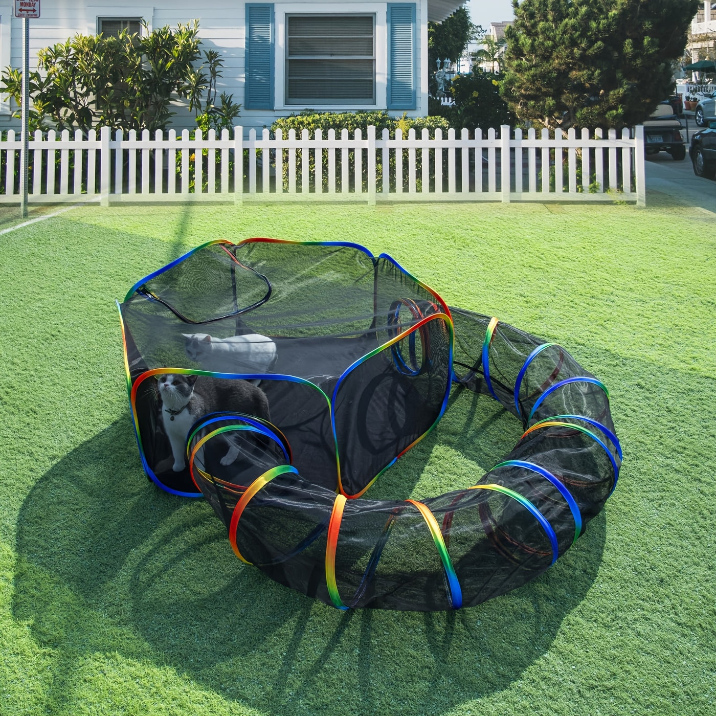 Outdoor Cat Tunnel Enclosure & Playpen – Rainbow Cat Tent with Circle Tunnel for Indoor Outdoor Cats, Portable Cat Playground for Kittens & Small Animals