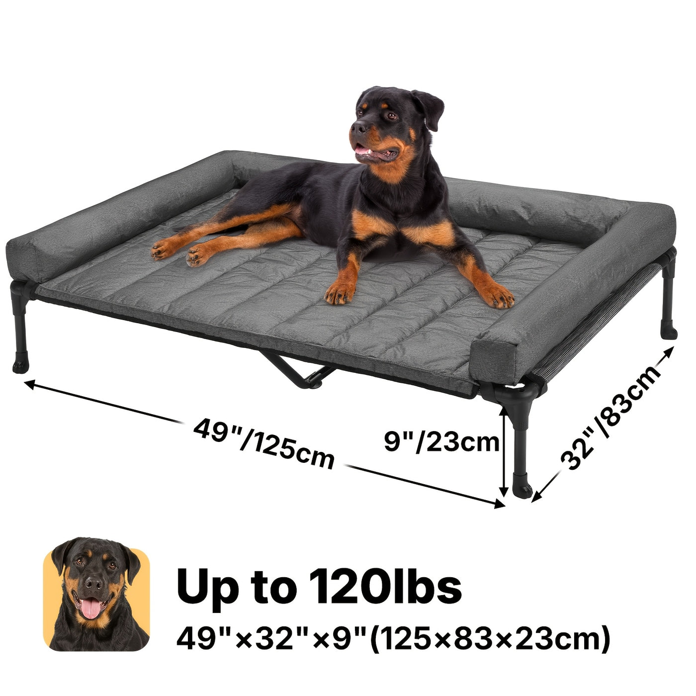 Elevated Cooling Dog Bed with Removable Pillow-Top Bolster Mat - Raised Dog Cot, Breathable Mesh, No-Slip Feet, Steel Frame, Indoor & Outdoor, 4 Sizes, 5 Colors