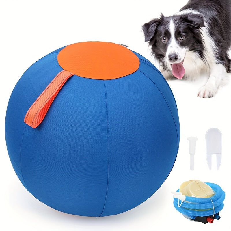 Dog Ball Toy for Small & Medium Dogs – Chew-Resistant Fetch & Training Ball, Independent Play, Shiba Inu Corgi Bulldog Golden Retriever, Blue or Orange