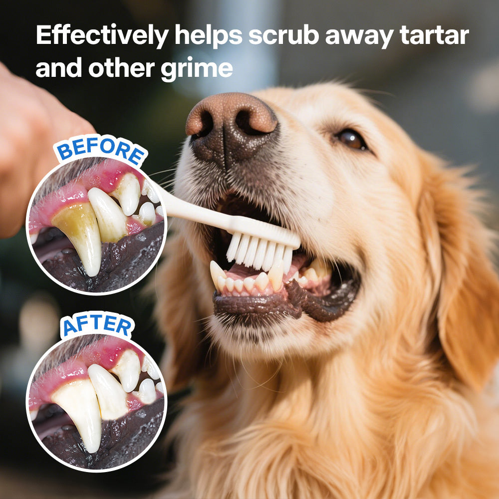 Dog Toothbrush & Finger Brush Kit with Peanut Butter Toothpaste – Complete Pet Dental Care Set for Dogs, Removes Tartar & Freshens Breath, Vanilla & Ginger Flavor