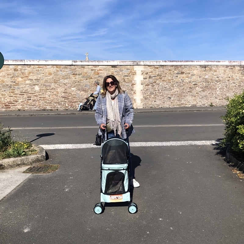 Travel Portable Pet Stroller Up to 33 Lbs – Foldable Dog & Cat Stroller for Small Puppies, Outdoor Walks & Trips | Black, Dark Green, Teal Blue, Light Pink