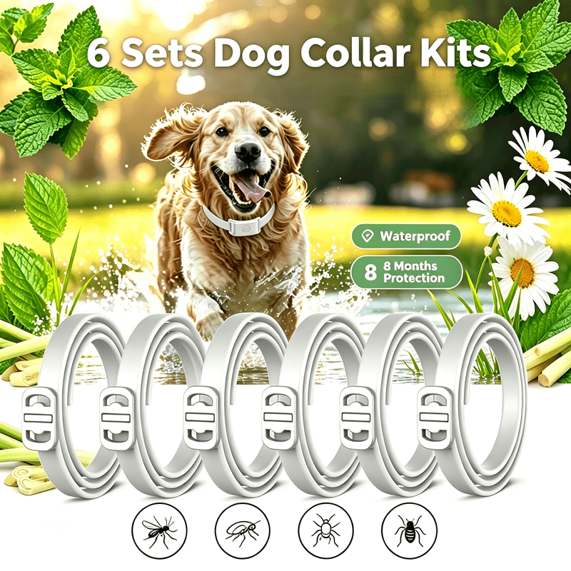 Adjustable Grey Dog Collars 6 Pack – Comfortable Fit for Large Dogs & Puppies, Indoor & Outdoor Use, One Size