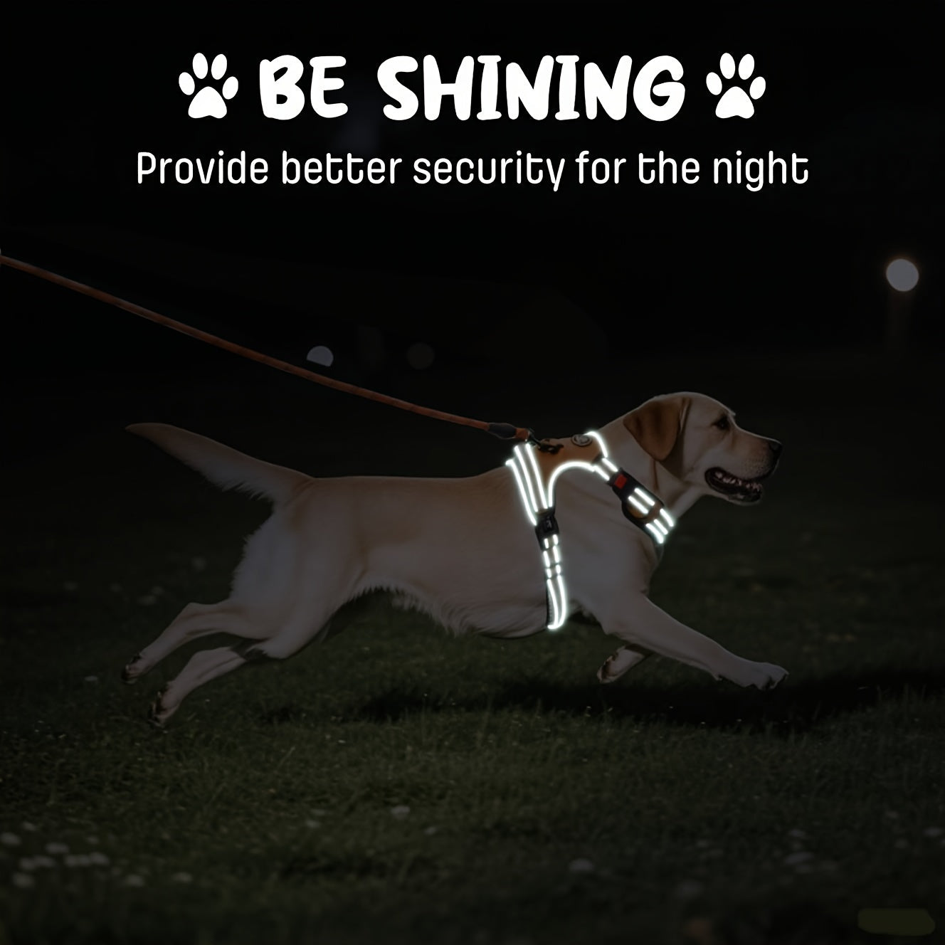 Complete Dog Walking Set – No-Pull Harness + Collar + Leash + Retractable Seatbelt + Storage Strap, Fully Reflective Breathable Vest with Handle for Small & Large Dogs, Sizes XS-XL