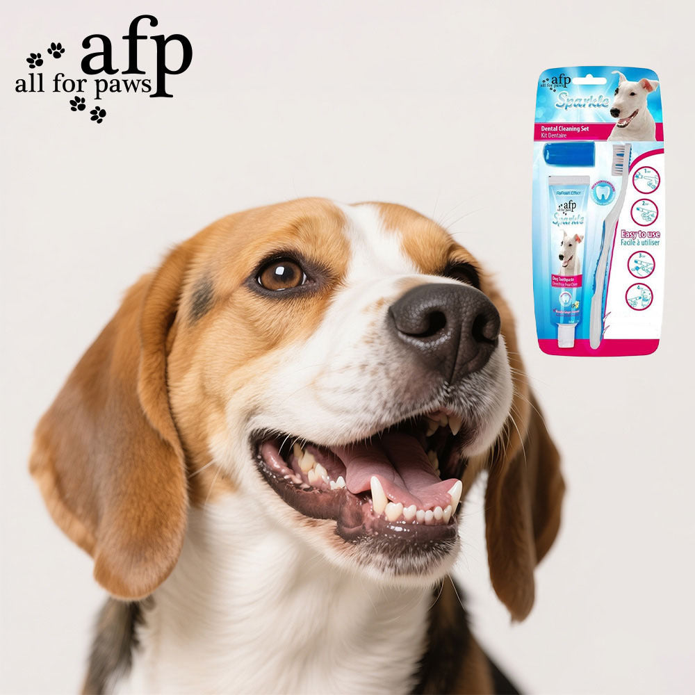 Dog Toothbrush & Finger Brush Kit with Peanut Butter Toothpaste – Complete Pet Dental Care Set for Dogs, Removes Tartar & Freshens Breath, Vanilla & Ginger Flavor