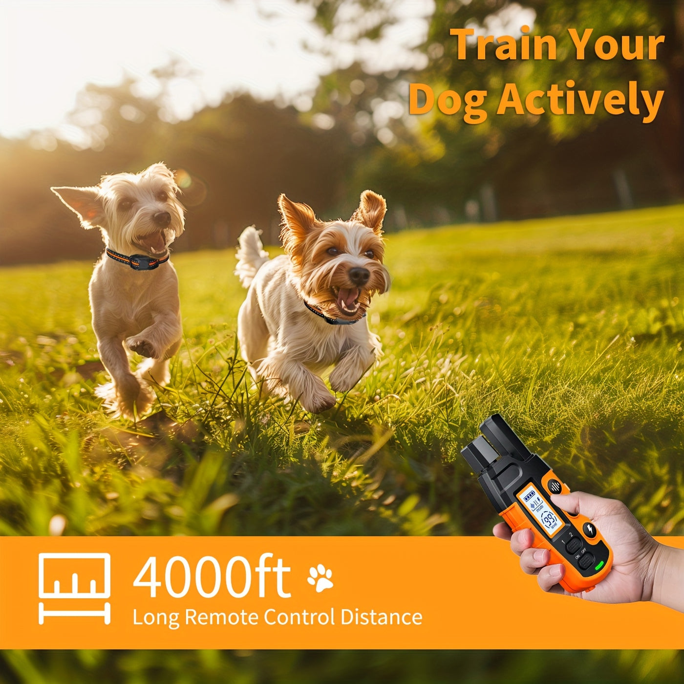 Dog Training Collar with Remote - Rechargeable E-Collar with Beep Vibration Shock Modes, Waterproof, Long Range Control for Small Medium Large Dogs, Safe Obedience Training Tool