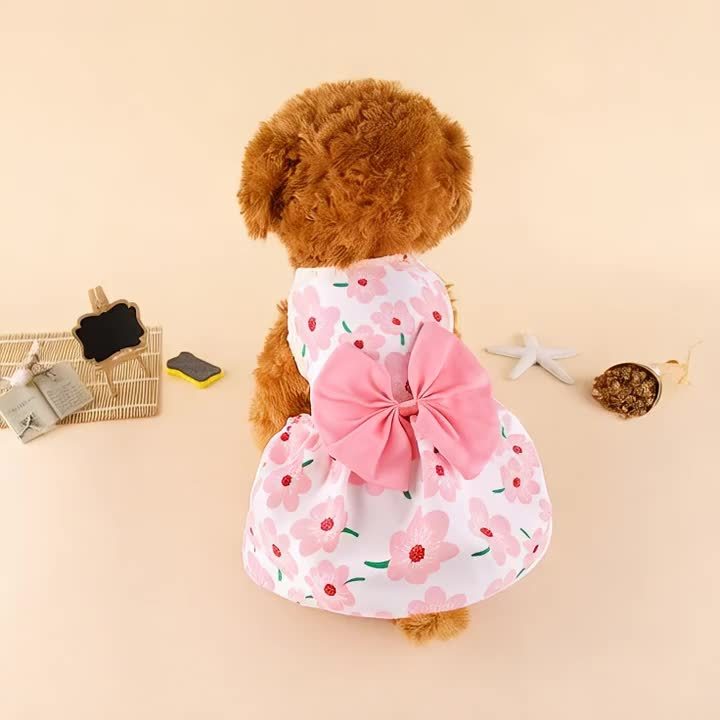 Girl Dog Dress Set of 5 Styles – Cute Princess Bow & Flower Puppy Dresses for Small Dogs Cats, Summer Pet Clothes for Yorkshire Female Small Pets, Photoshoot Party Gift