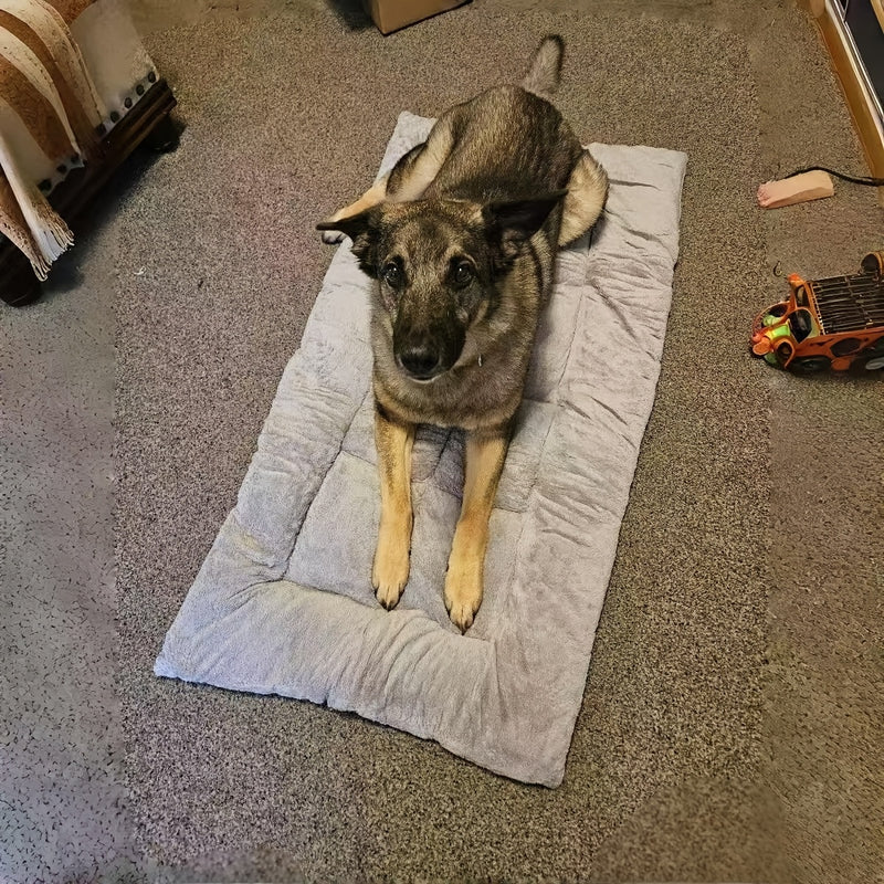 Extra Large Plush Dog Sofa Bed 2026 Upgraded Super Soft Thick Pet Mat for Small to Large Breeds - Modern Cozy Dog Comfort Bed Durable Pet Furniture & Ideal Dog Lover Gift