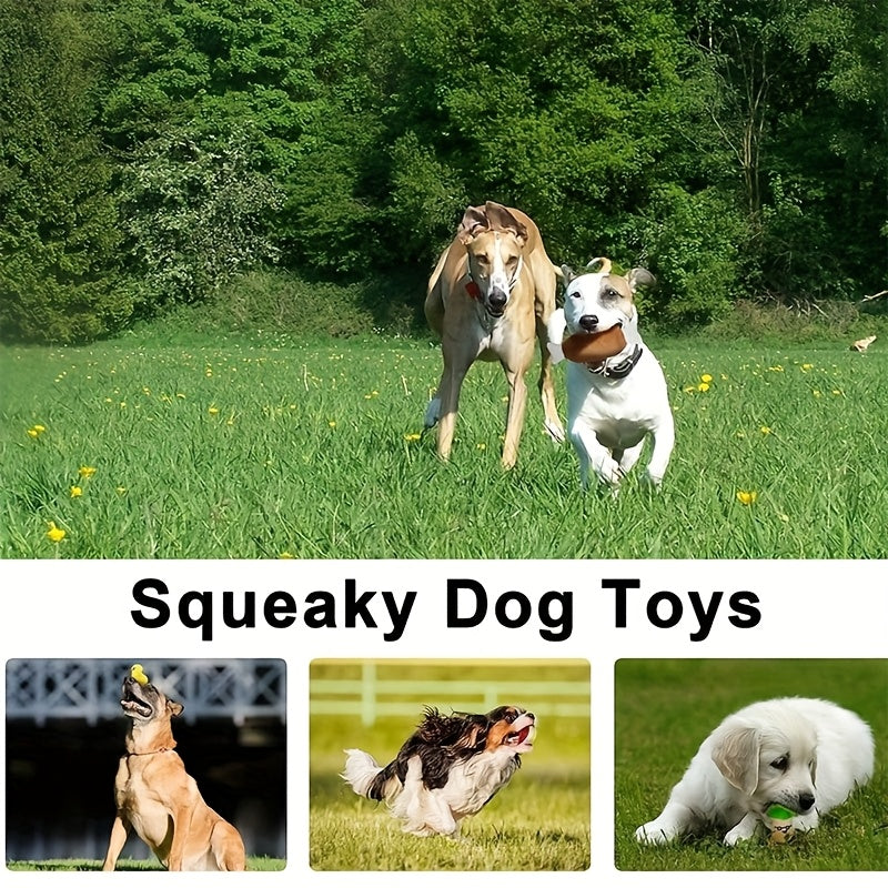 Dog Toy Gift Box 20 Pcs – Chew-Resistant Interactive Toy Variety Set for Small Dogs, Tug of War, Random Styles, Perfect Dog Gift