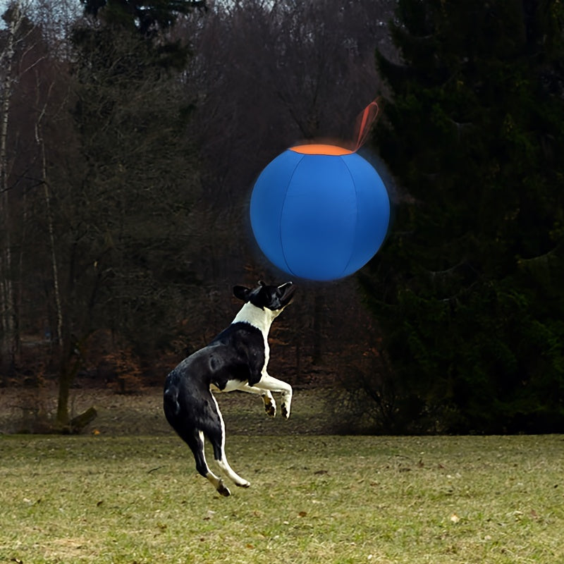 Dog Ball Toy for Small & Medium Dogs – Chew-Resistant Fetch & Training Ball, Independent Play, Shiba Inu Corgi Bulldog Golden Retriever, Blue or Orange