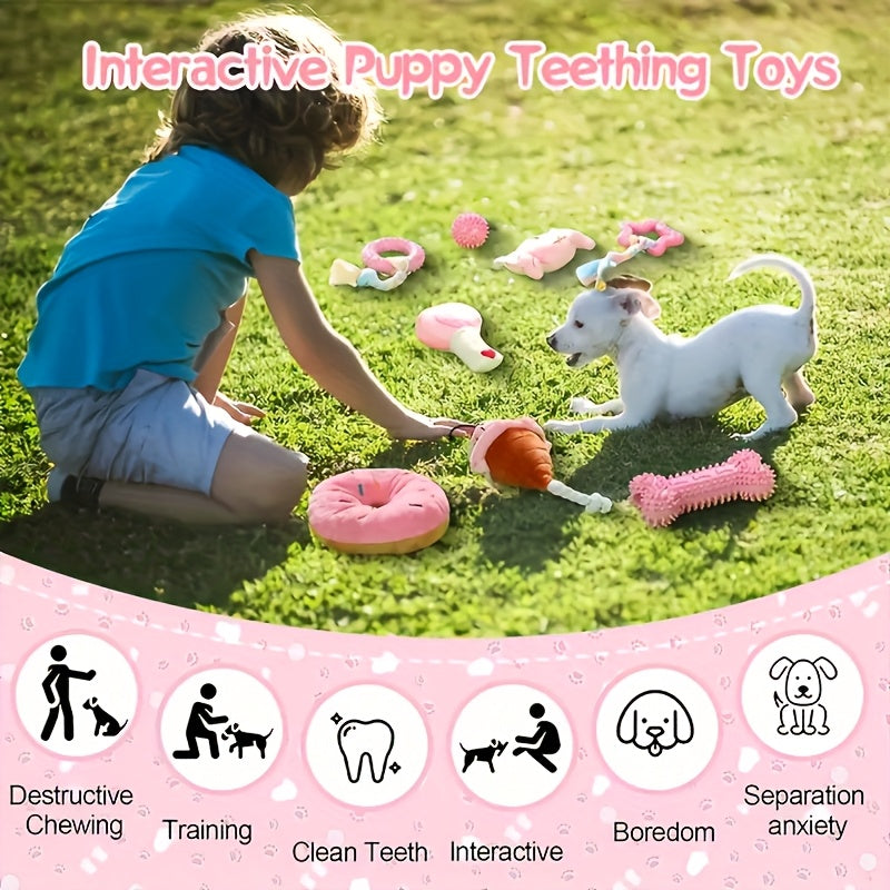5-Piece Puppy Chew Toy Set for Small Dogs – Non-Toxic TPR & Plush Teeth Cleaning Teething Toys, Durable Interactive Dog Dental Toy Bundle, Pink & Blue