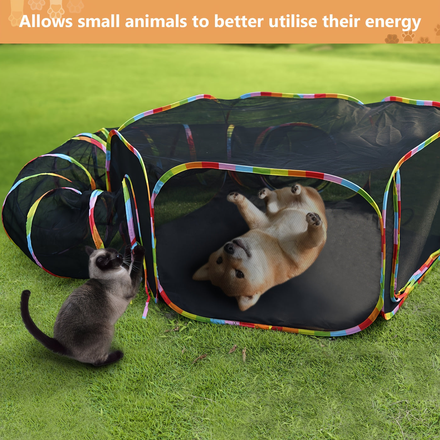 Outdoor Cat Tunnel Enclosure & Playpen – Rainbow Cat Tent with Circle Tunnel for Indoor Outdoor Cats, Portable Cat Playground for Kittens & Small Animals