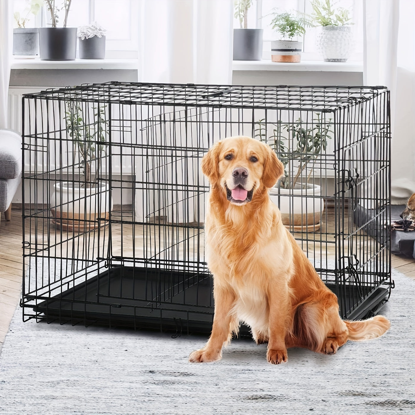 Folding Metal Dog Crate 42 & 48 Inch – Double Door Wire Dog Cage with Divider & Leak-Proof Tray for Puppies, Medium & Large Dogs, Indoor & Outdoor