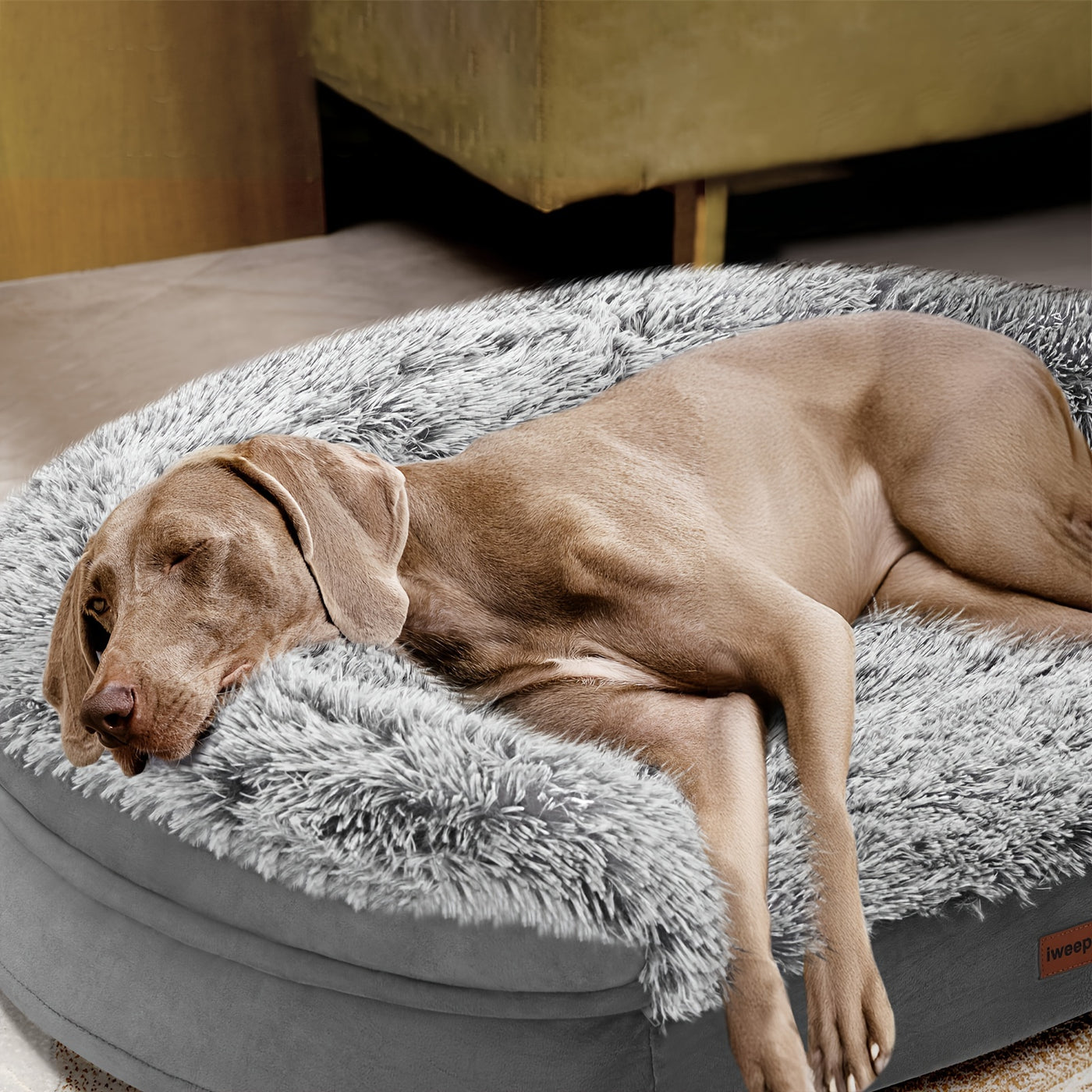 Orthopedic Egg Foam Dog Bed with Removable Washable Cover – Ultra Soft Memory Foam Pet Bed for Large, XL & Aging Dogs, Semicircle & Rectangle Styles