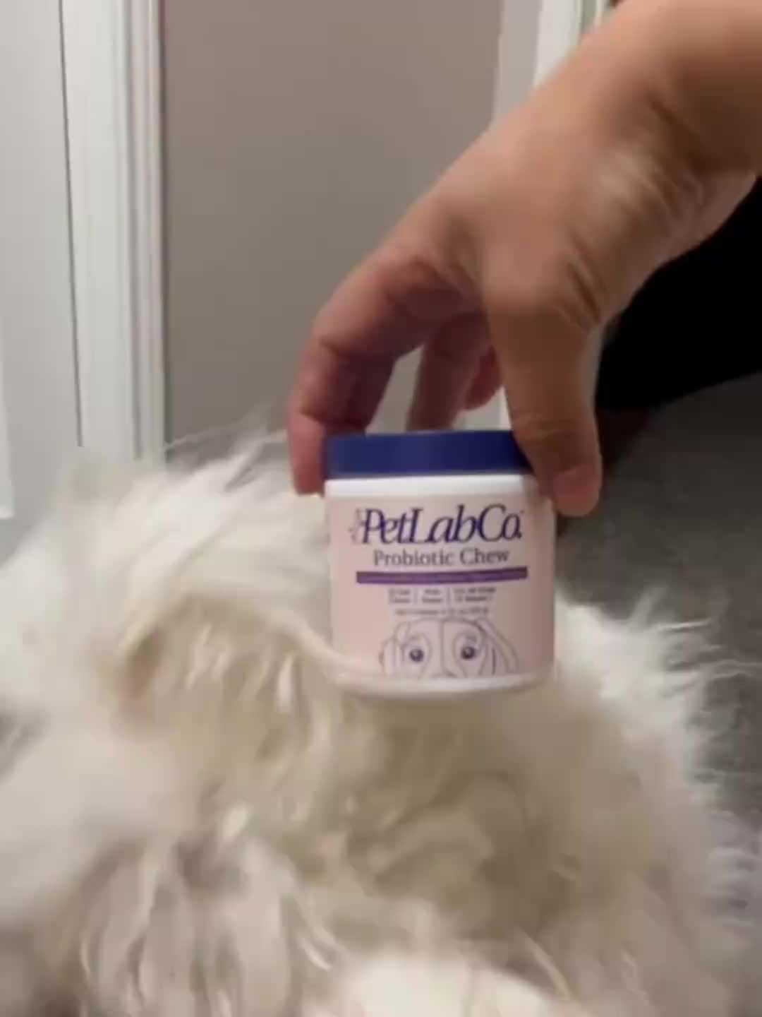 Dog Probiotic Chewable Treats with Natural Ingredients – Probiotics & Prebiotics for Digestive Health and Daily Wellness