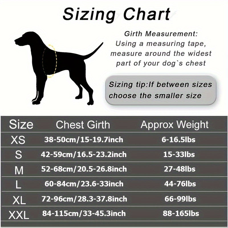 Personalized No-Pull Dog Harness with Custom Name & Phone Number - Heavy Duty Dog Vest, Anti-Choke Training Walking Harness for Small Medium Large Dogs, XS to XXL, 12 Colors